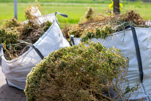 Best Carpet Removal and Disposal  in Heath, TX